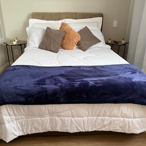 Studio Veneza Prox Metro Bras, Feirinha Madrugada, 25 Marco, Templo Salomao